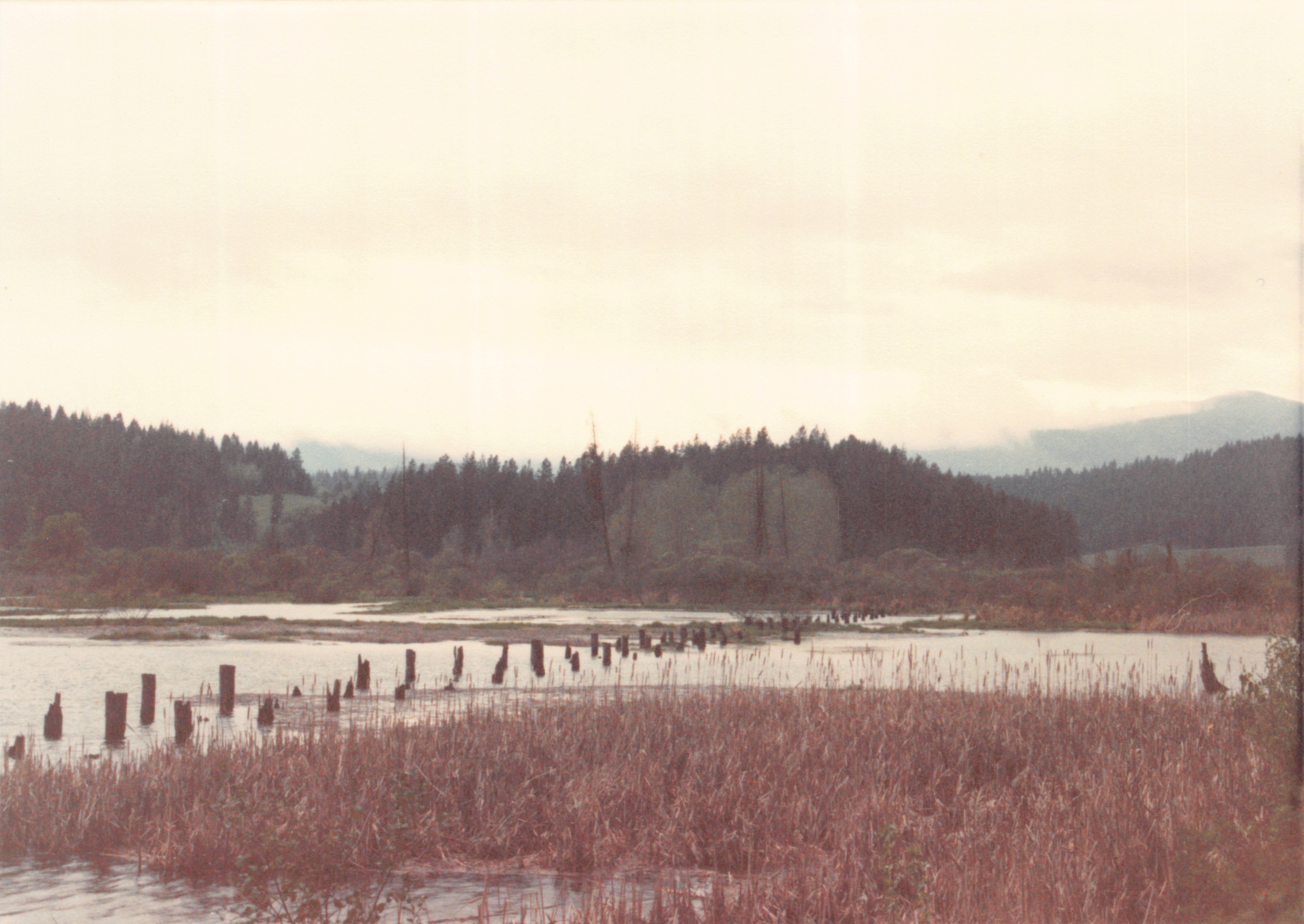 1985_Part 2_01_004.jpg